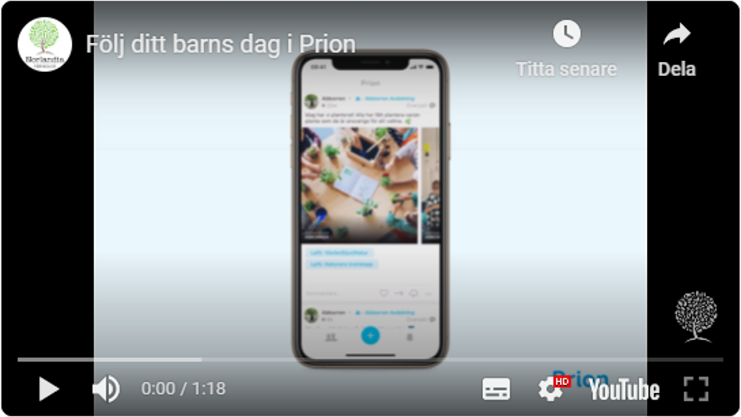 Bild Videoklipp Prion (3)